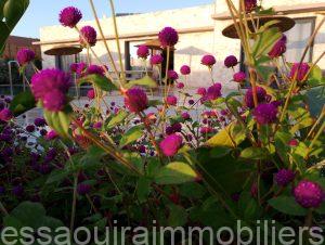 villa ait yassine (8)