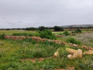 terrain a vendre idaouguerd (1)