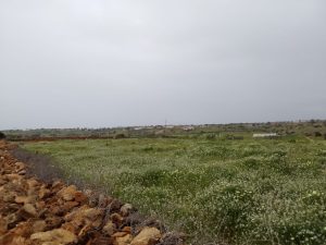 terrain a vendre idaouguerd (11)