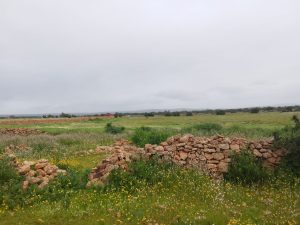 terrain a vendre idaouguerd (12)