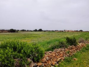 terrain a vendre idaouguerd (13)