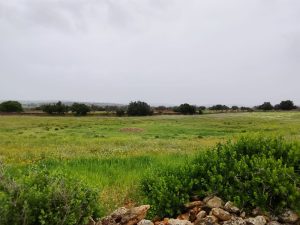 terrain a vendre idaouguerd (14)