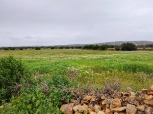 terrain a vendre idaouguerd (2)