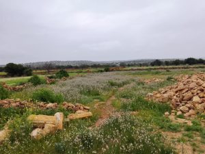 terrain a vendre idaouguerd (4)