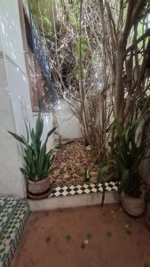 villa al mostakbal (43)